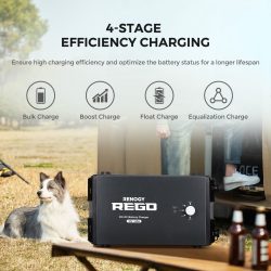 Renogy 60A DC-DC Battery Charger-6