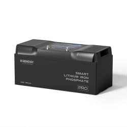 Renogy 200Ah Pro Series Lithium Battery