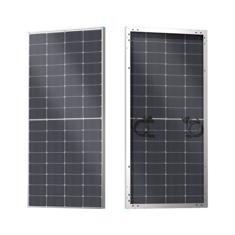 Renogy 250 Watt Bifacial Solar Panel